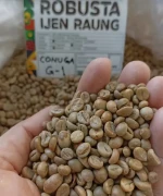 Robusta Green Coffee Beans