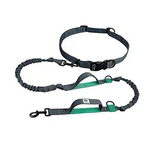 Nylon Hands Free Reflective Pet Bungee Leash up to 150 lbs Large Dogs