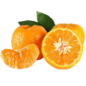 High Quality Fresh Mandarin Oranges