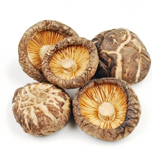 Dried Shiitake Mushroom - Best Price and Quality