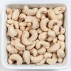 Hot Selling Raw Cashew Nut Kernels W240 W320 W450 Best Seller Good Packaging