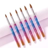 High Quality Nail Art Brush Acrylic Kolinsky Nail Brush Wholesale Professional Nail Art Pen Colorful Metal Handle