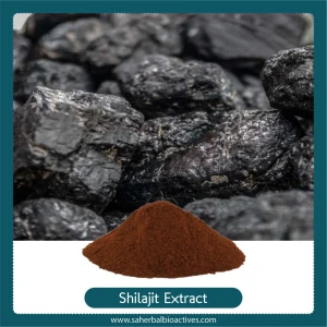 Shilajit Extract