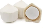 Fresh Aromatic Coconut for Wholesale Supply, Beverage Processing and International Export