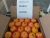 Import Orange from Egypt
