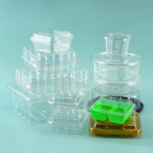 Disposable Plastic Cake Container Plastic Pet Food Containers for Dessert Clear Plastic Bakery Box With Lid