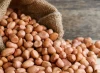 Ground Nuts