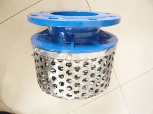 Ductile iron Rose strainer sss