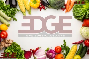 https://edge-cargo.com/our-products/