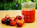 Crude Palm Oil ( CPO )