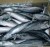 Import fresh frozen basa fish from South Africa