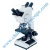 Import XSZ-510 Multi-viewing microscope from China