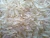 Import 1121 Basmati Rice from India