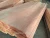 Import 0.5mm okoume veneer for India market from China