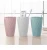 Import Threaded Double Layer Color Clash Mouthwash Mug from China