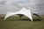 Import Hot Sale White Outdoor Wedding Waterproof Double Layer Folding Stretch Tent for Party and Events from China