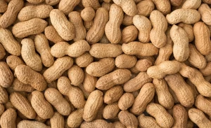 Peanuts, Groundnuts