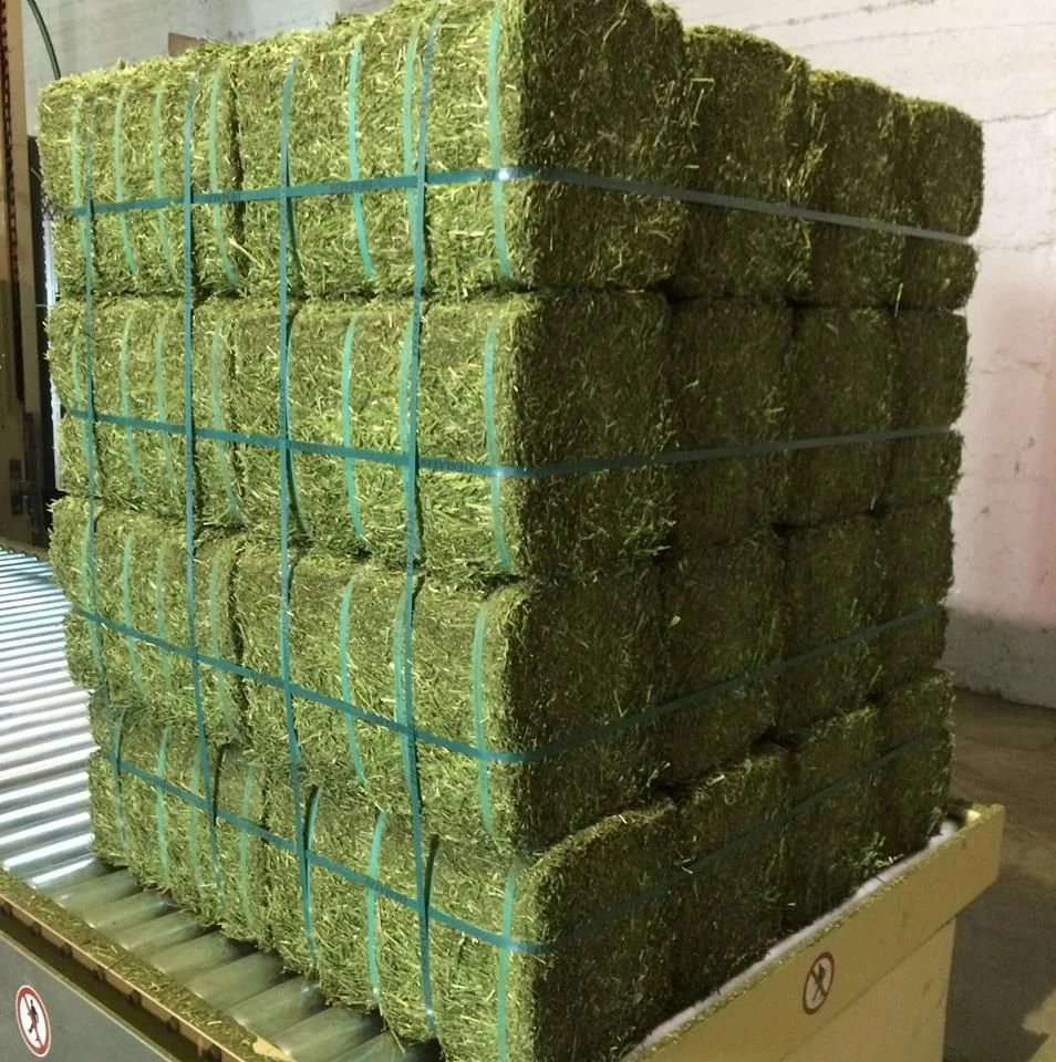Buy Fresh Dry Timothy Hay And Alfalfa Hay Available from CRUSH AND ...
