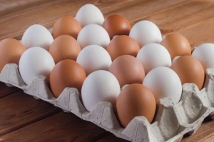 Brown /White Fresh Chicken Table Eggs/ Artificial Ostrich Eggs For Sale