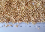 Wholesale Dried Hulled Millet for Human Consumption