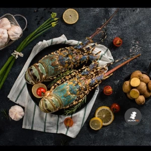 Pearl Lobster