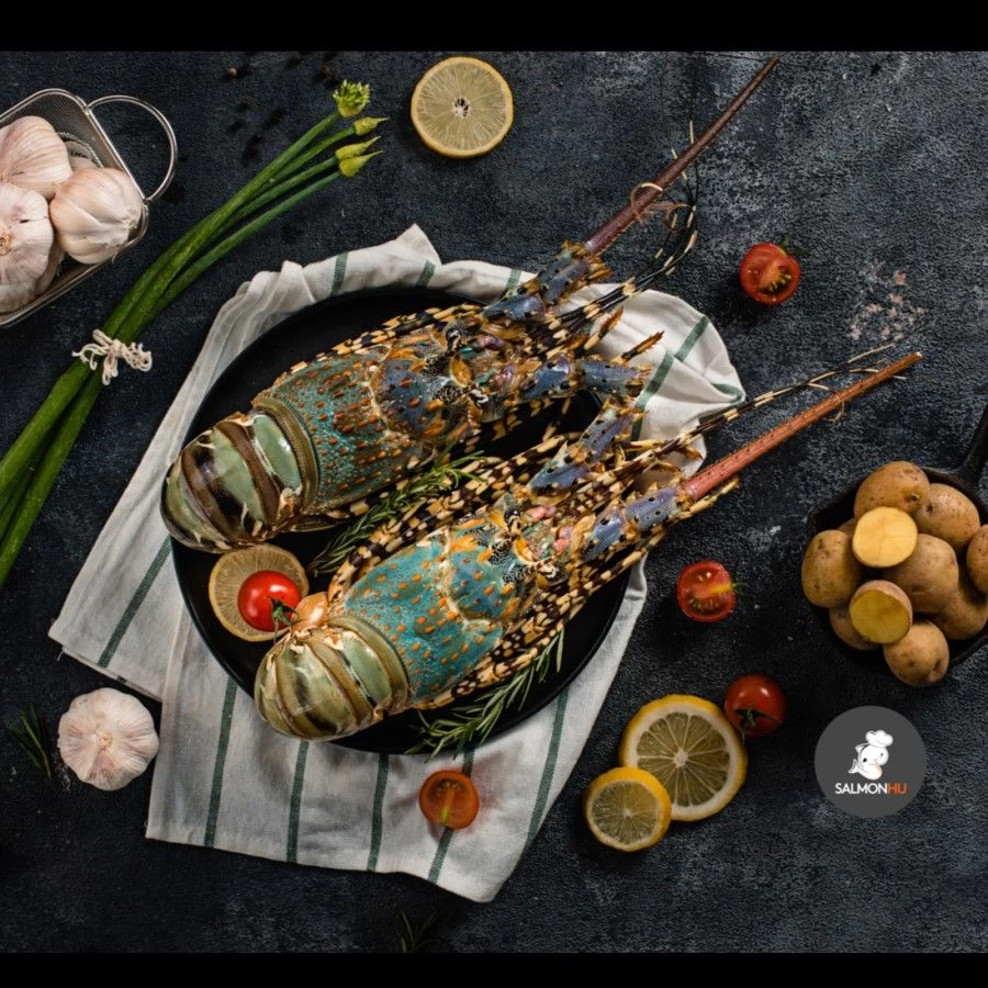 Buy Pearl Lobster from CV Agriculture Indonesia, Indonesia