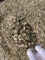 Organic Robusta Coffee Bulk Supplier