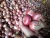 Import Red onion 45+mm to60+mm from India