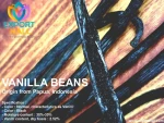 Vanillan bean