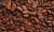 Import cocoa powder, cocoa beans from Uganda