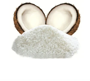 Health Food Coconut Milk Powder Coconut Juice Powder