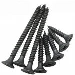 Coarse Thread Drywall Screws Black phosphating Bugle Head Sharp Point