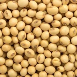 High-Quality Soybeans for Food, Feed, and Industrial Processing