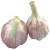 Import 1%-3% Allicin garlic flavor extracts from China