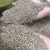 Import 1-3mm/4-8mm Non-Metallic Mineral Deposit-Vermiculite from China