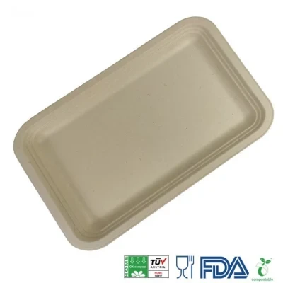 14X10" Biodegradable Sugarcane Disposable Big Rectangular Deep Meat Tray in Kh-TM-P122