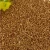 Import 2017 hot supply buckwheat/roasted buckwheat/raw buckwheat from China