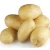 Import 2018 new crop fresh irish potato ready for export from Brazil