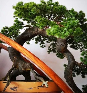 2019 factory directly wholesale unique design cost price indoor artificial tree home direction bonsai