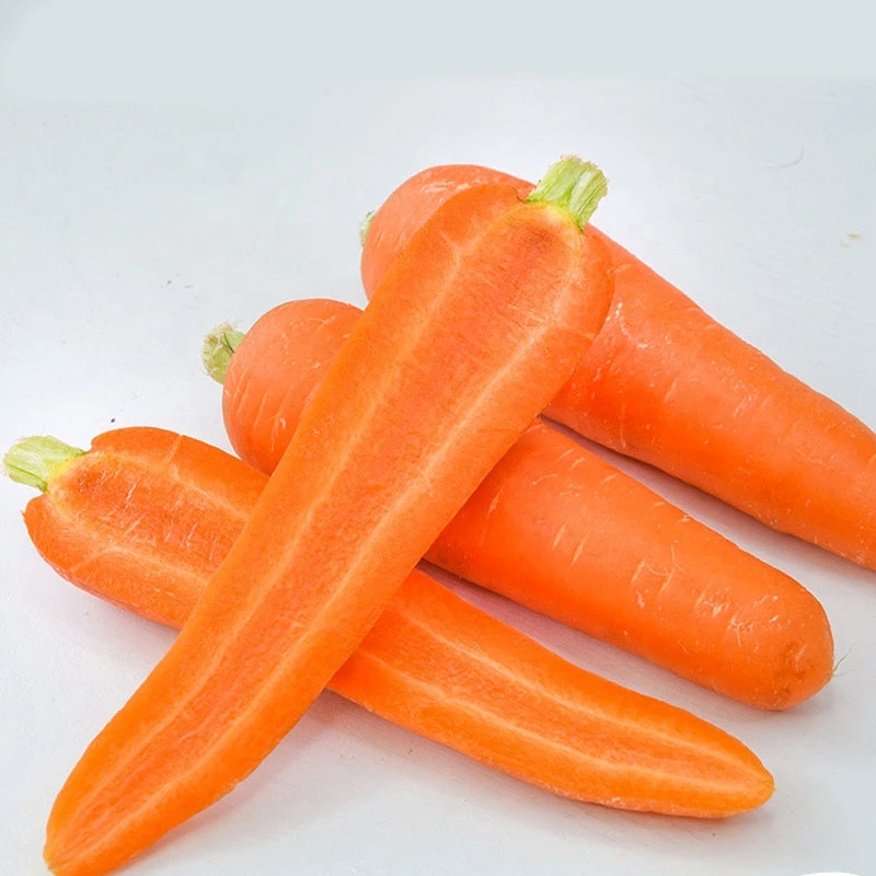 2020 Chinese fresh carrots