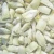 Import 2020 new corp frozen artichoke quarters from Egypt