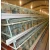 Import 2020 Poultry  Battery Chicken Bird Cage  Layer Chicken Egg Animal Cages For  Poultry Farming from China