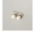 Import 2021 New Arrival Retro 18K Gold Titanium Steel  ABS Pearl Earrings Jewelry from China
