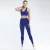 Import 2021 New Arrivals Women High Elastic 2 Piece Slim Fit Fitness Yoga Active Wear Set from China