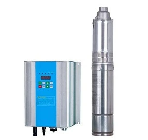 2m3/h 50m Head 1 inch Outlet Borehole Submersible Solar Water Pump for Irrigation