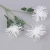 Import 3 Heads artificial  Simulated sea urchin flower for simulated flower wedding from China