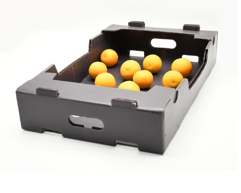 4mm  customized 100% polypropylene pp Recycled turnover box plastic  pp fruit box