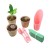 Import 50pcs/lot Seedling Nursery cup garden Flowerpot for gardening with 50 pcs plant labels and 4 sets of tools from China