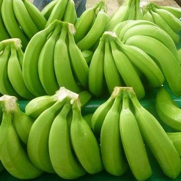 A one Quality 7-13kg Cavendish Banana