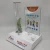 Import Acrylic Waterproof Watch display stand from China